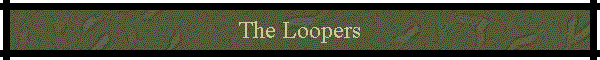 The Loopers