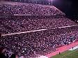 mvc027f.jpg