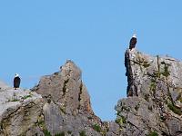 100_9665.JPG