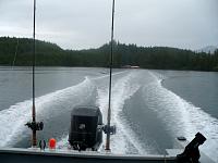 P1000761.JPG