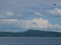 P1000806.JPG